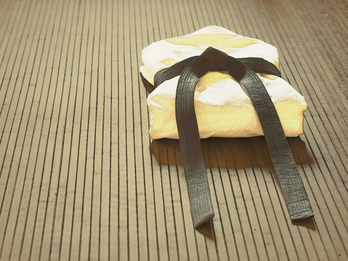 What Brazilian Jiu Jitsu Can Teach You About Writing